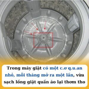 Trong máy giặt có một cơ quan nhỏ, mỗi tháng mở ra một lần, vừa sạch lồng giặt quần áo lại thơm tho